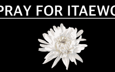 Open Net Sends Our Thoughts and Deepest Condolences to the Victims of the Itaewon Tragedy and to Their Families and Friends