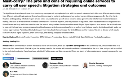 Must carry lawsuits v intermediary liability safe harbor v positive freedom of speech
