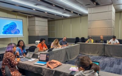 Asian Consumer Privacy Advocates Comment on Digital Trade Treaty Making as Opportunities and Dangers for Data Breach Redressability at DRAPAC